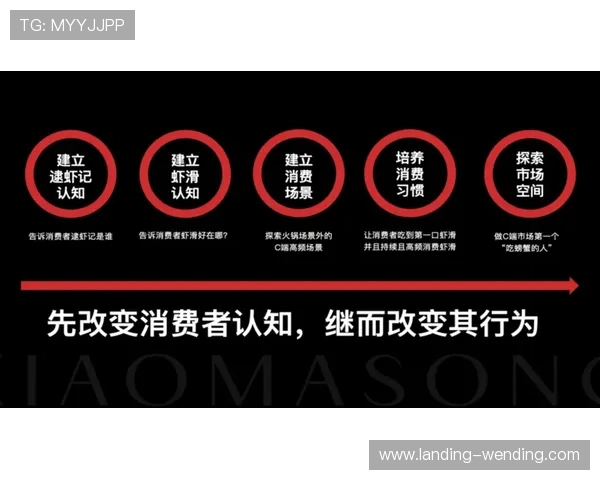 问鼎旗下娱乐平台的市场营销策略与成功案例