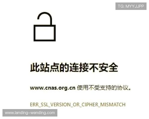 问鼎App官方网址最新入口及官方平台安全指南，帮助玩家轻松访问确保账号安全